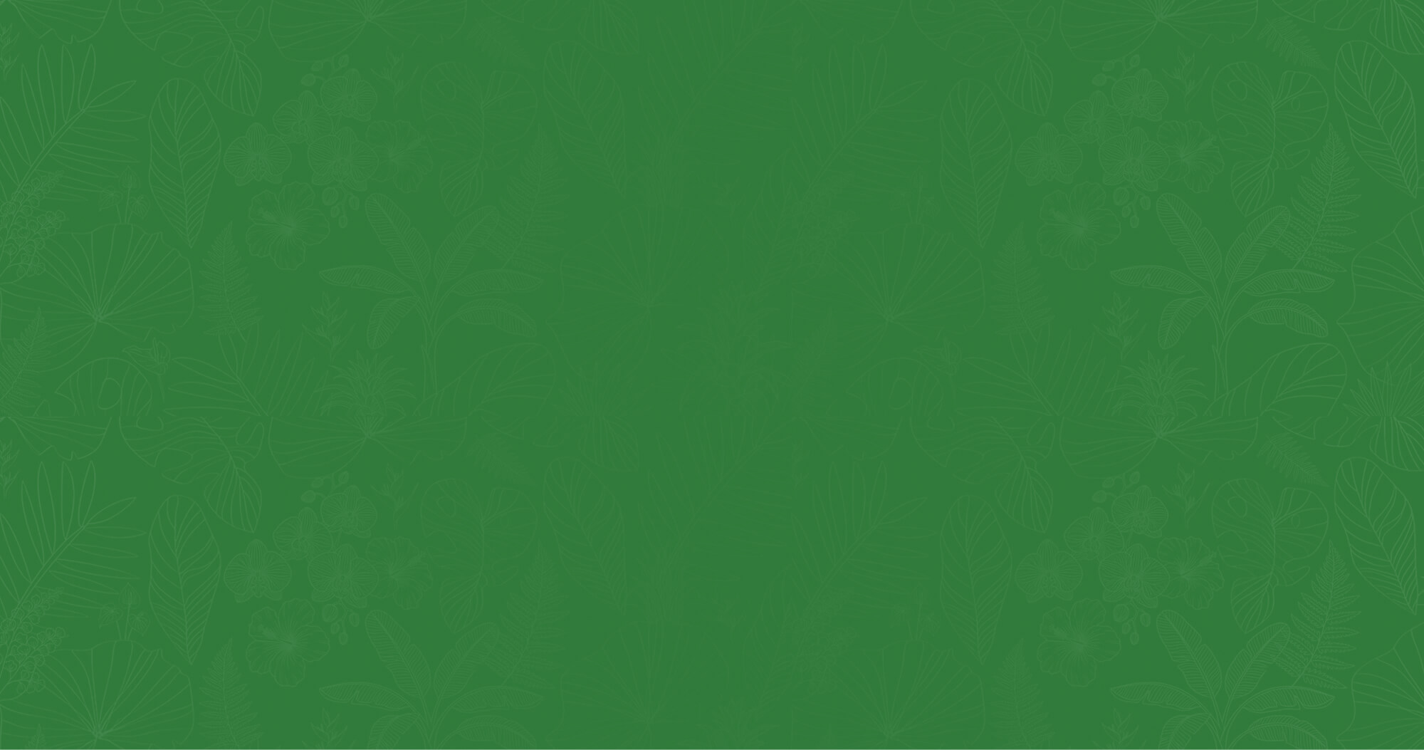 plant-bg